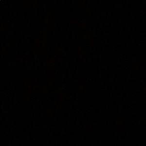 Meet your Posher, Tanita